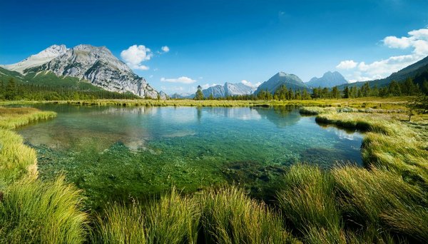 Où pratiquer le snorkeling au milieu des raies manta à Hawaii ?