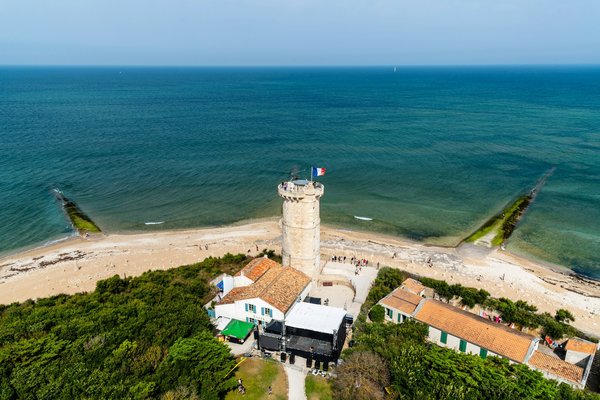 Quelles croisières offrent des excursions pour observer les baleines en Arctique?